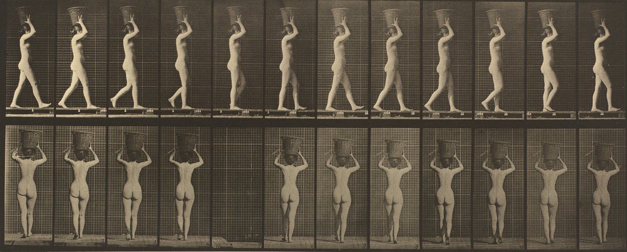 Planche numéro 34. Marcher et porter un panier de 15 lb sur la tête, mains levées - Eadweard Muybridge