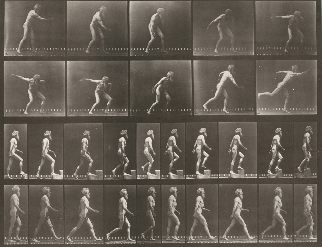 Planche numéro 519. A : Lancer un disque. B : Monter une marche. C : Marcher - Eadweard Muybridge