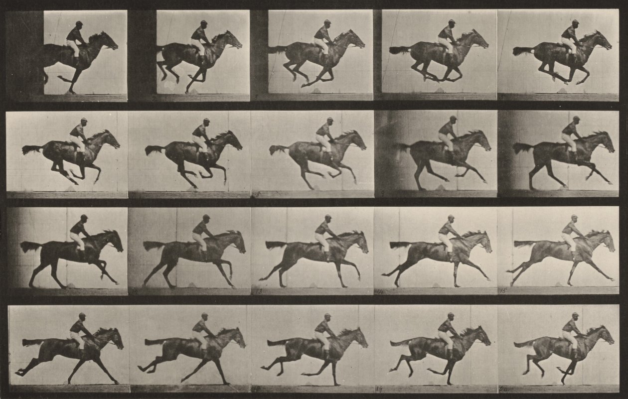 Planche numéro 627. « Annie G. » au galop - Eadweard Muybridge