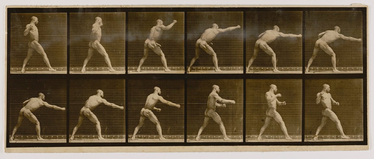Pugiliste frappant un coup, extrait du livre Animal Locomotion - Eadweard Muybridge