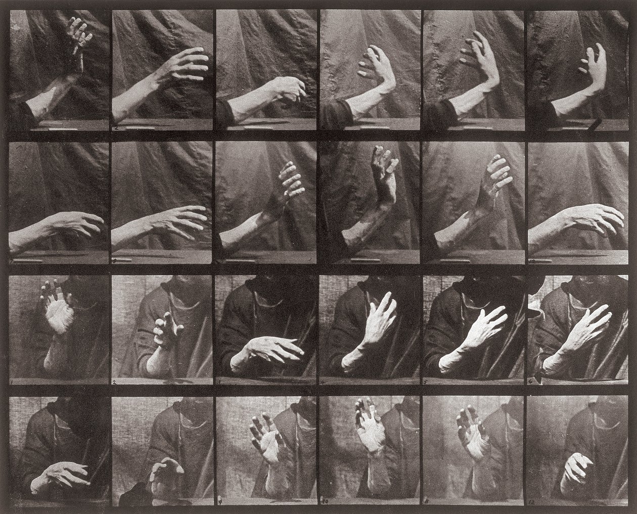 Séquence avec mouvement de la main, planche 535 de Locomotion animale - Eadweard Muybridge