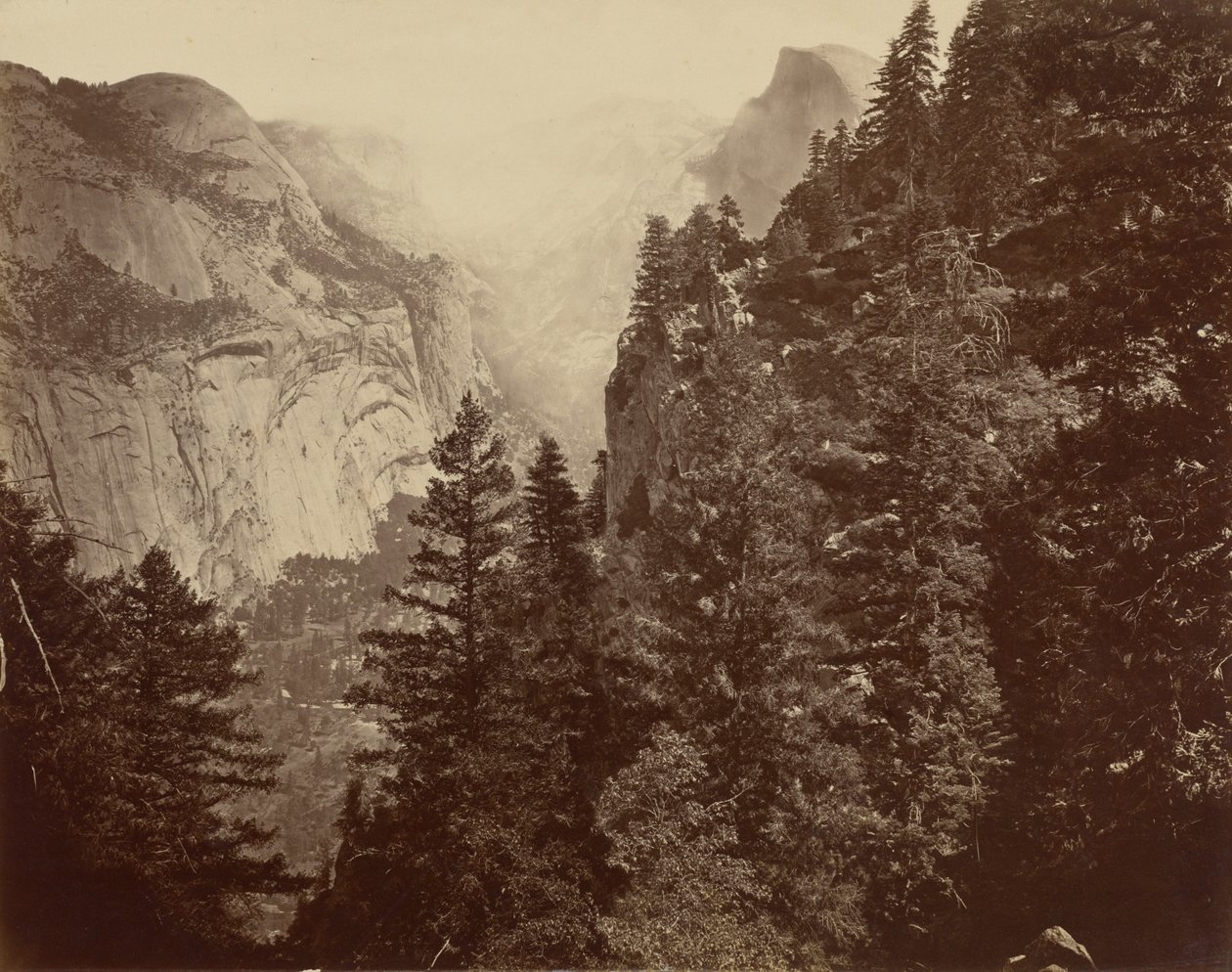 Canyon de Tenaya depuis Union Point, vallée du Yosemite - Eadweard Muybridge