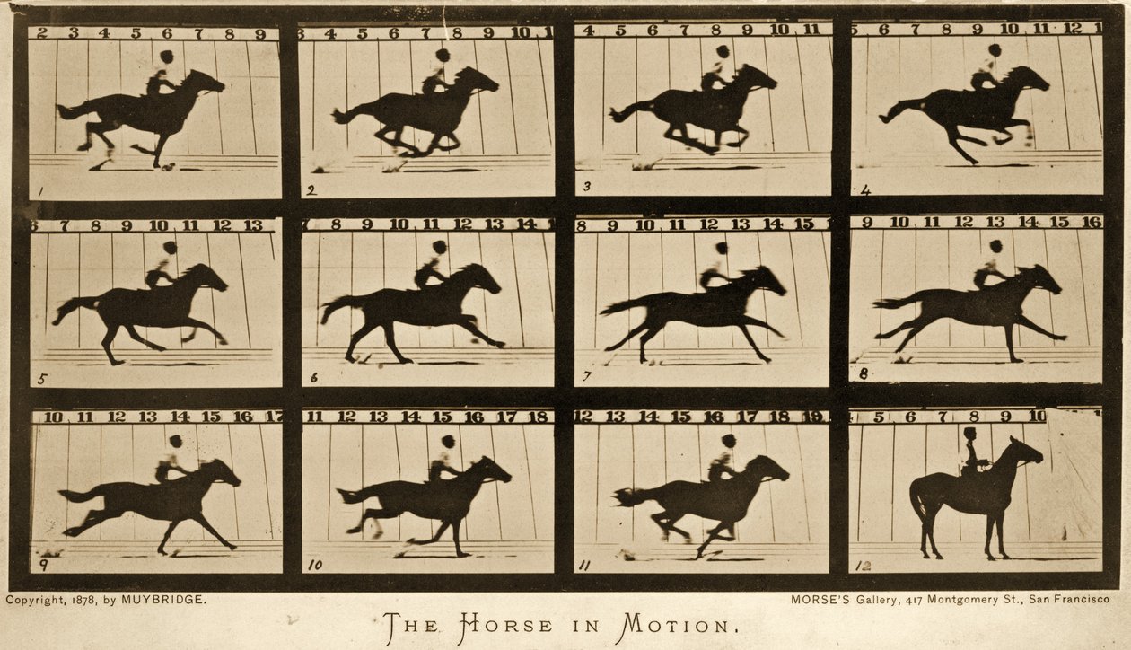 Le cheval en mouvement, série 