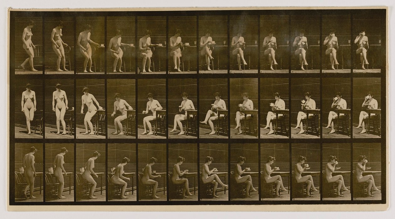 Femme assise, jambes croisées, buvant dans une tasse de thé, extrait du livre Animal Locomotion - Eadweard Muybridge