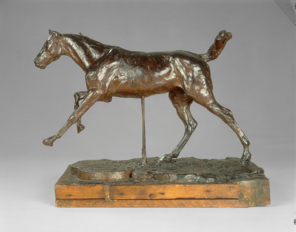 Cheval galopant sur le pied droit, fin des années 1880 - Edgar Degas