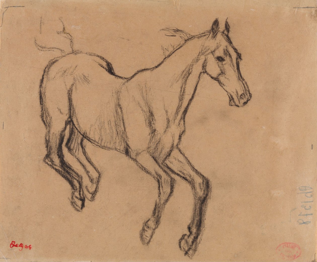 Cheval au galop - Edgar Degas