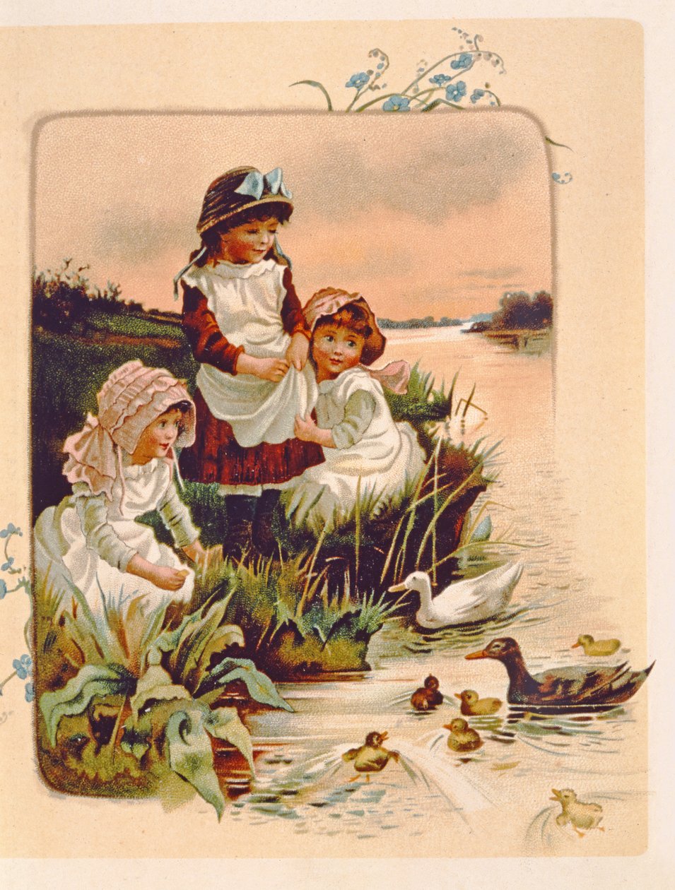 Nourrir les canards, illustration de 