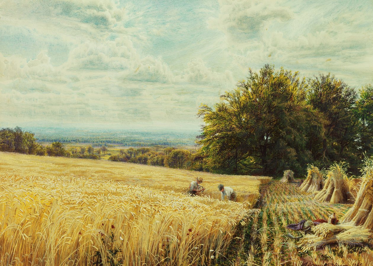 Les moissonneurs, 1865 - Edmund George Warren