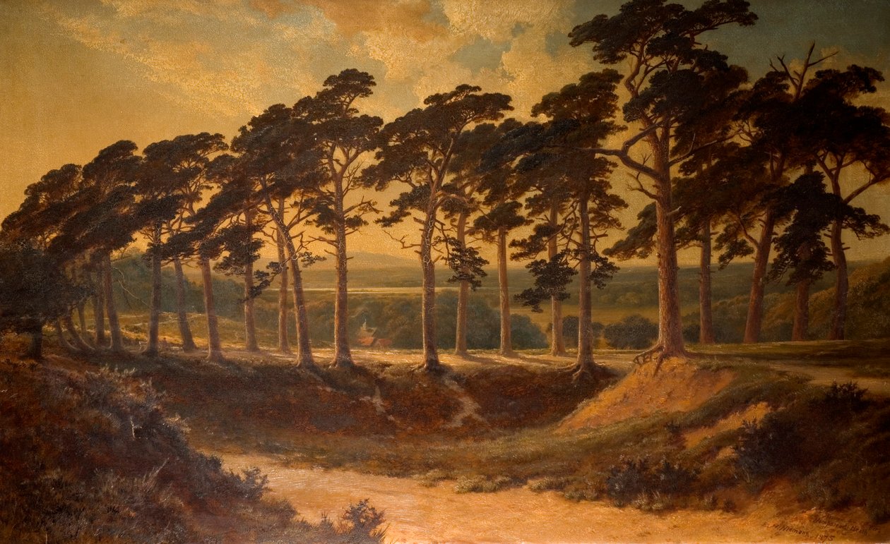 Harrow depuis le First, Hampstead Heath, 1875 - Edmund John Niemann