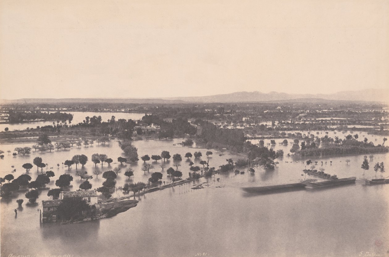 Avignon (Inondation de 1856) - Edouard Denis Baldus