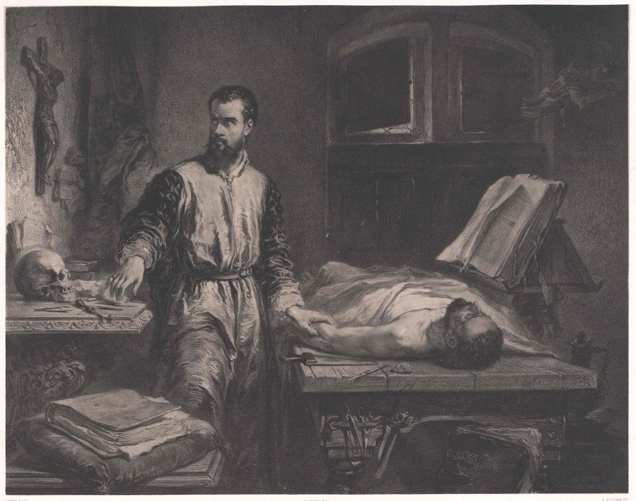 Andrew Vesalius - Edouard Jean Conrad (after) Hamman