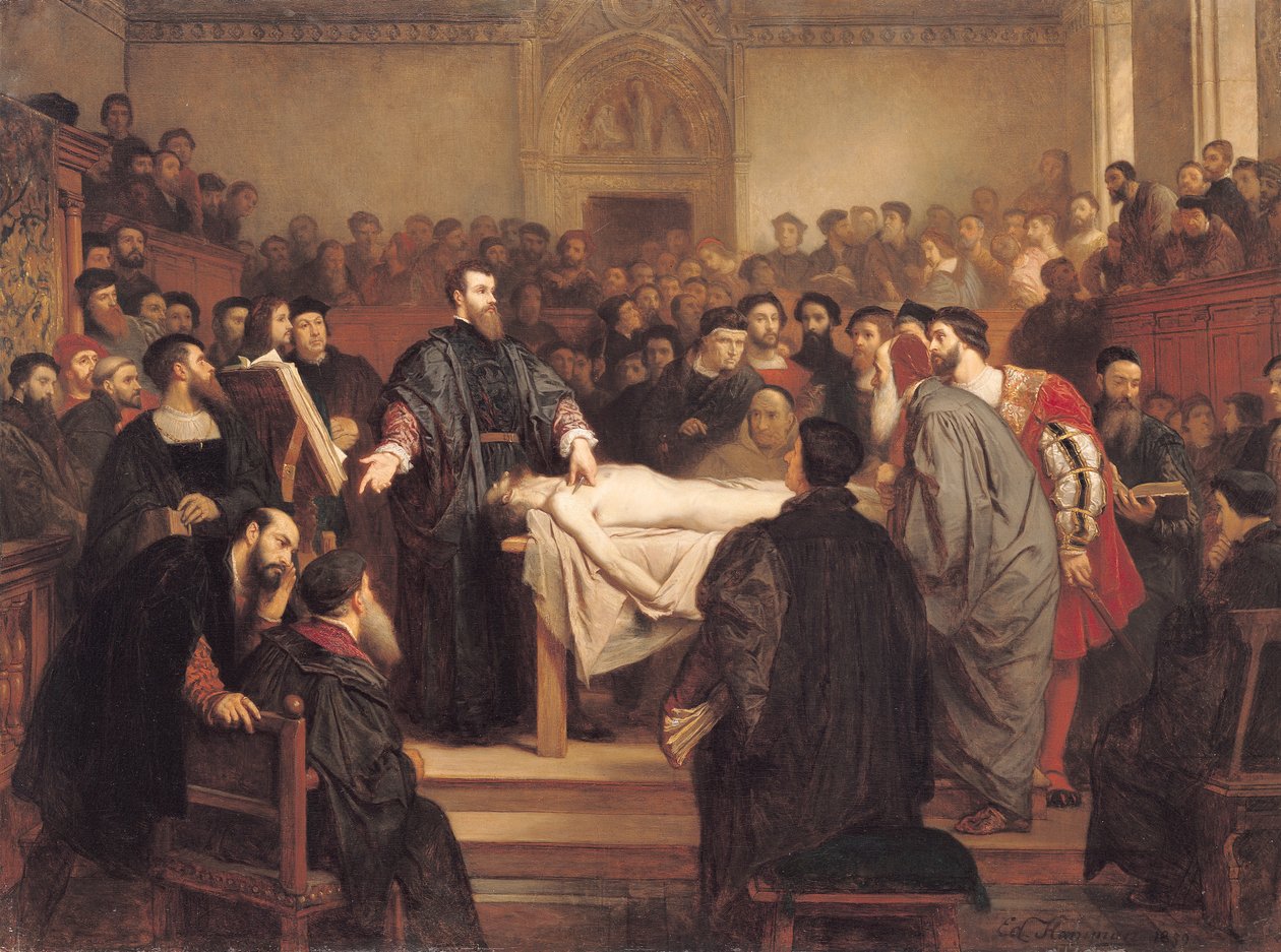 Andreas Vesalius (1514-64) à Padoue, 1859 - Edouard Jean Conrad Hamman