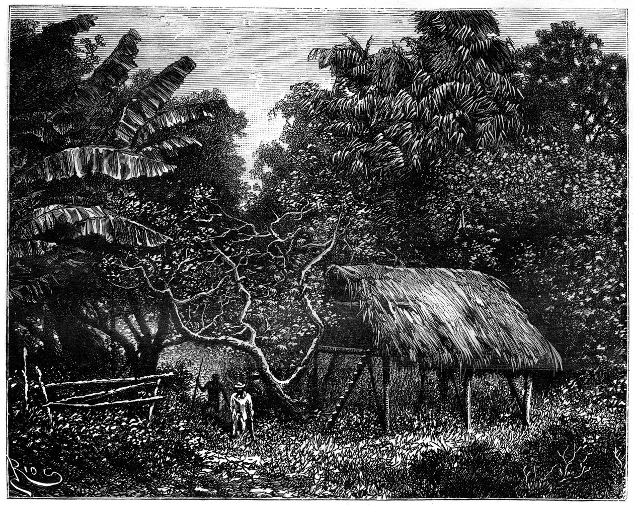 Guyane, Amérique du Sud, 19ème siècle - Edouard Riou