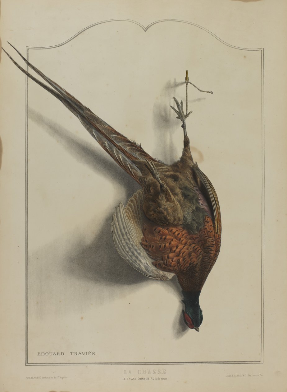 La Chasse: Le Faisan Commun - Edouard Travies