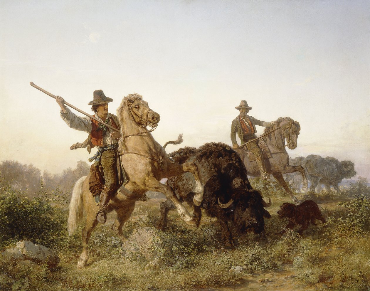 Conduite de buffles d