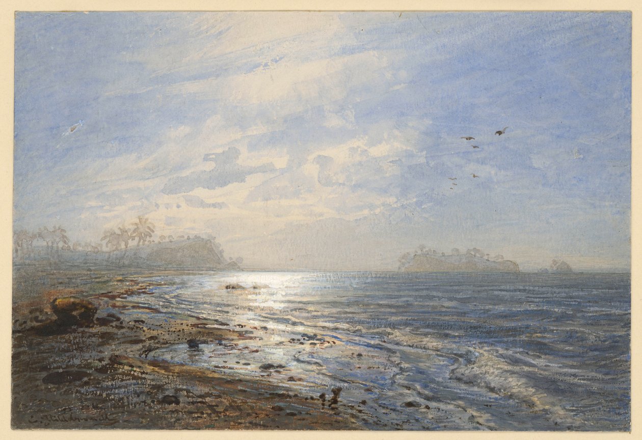 Côte de Birmanie - Eduard Hildebrandt