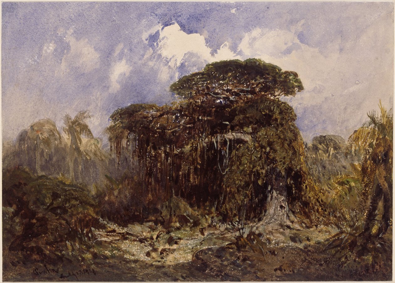 Étude sur les forêts - Eduard Hildebrandt