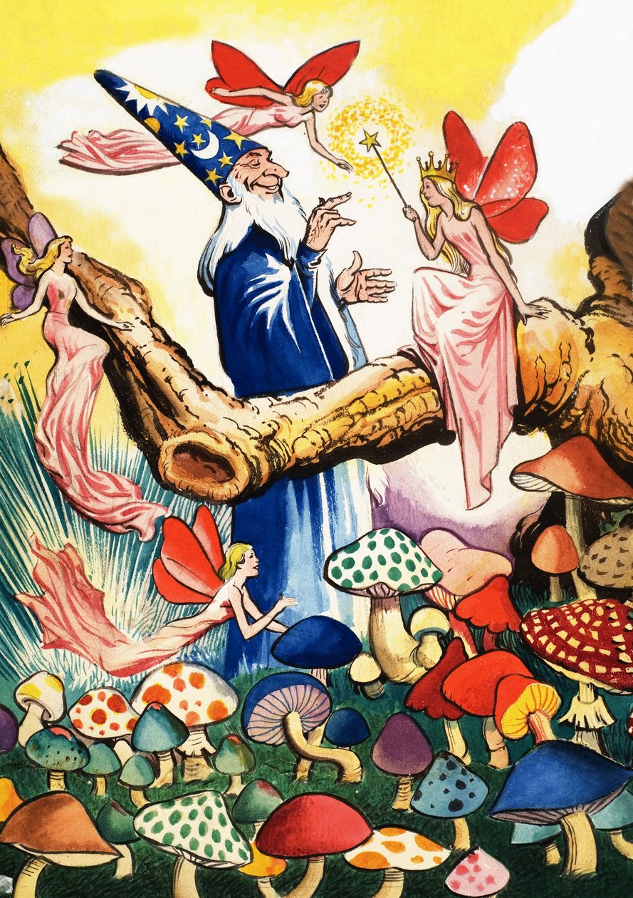 Le magicien dans la forêt de champignons - Eduardo Teixeira Coelho