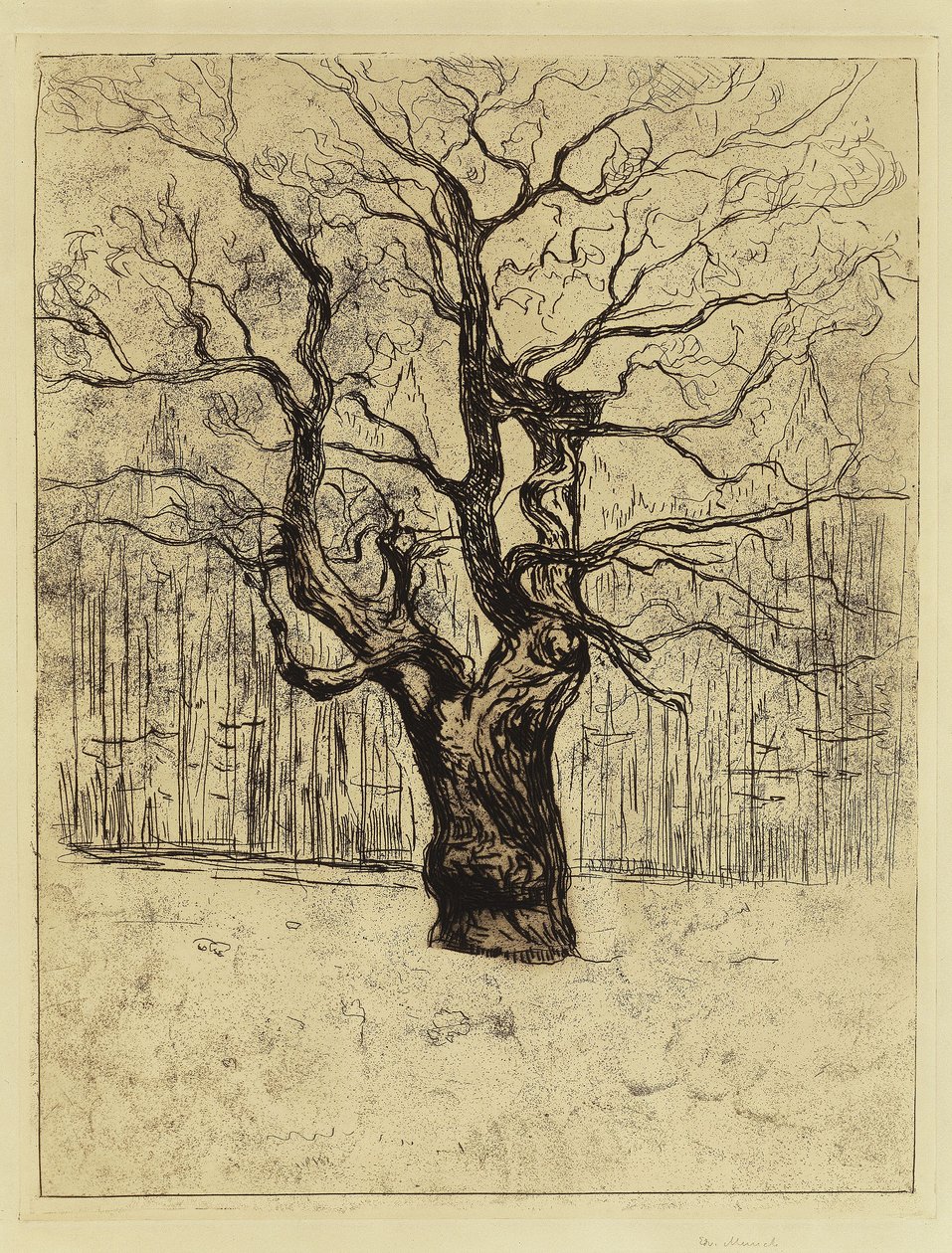 Le chêne - Edvard Munch