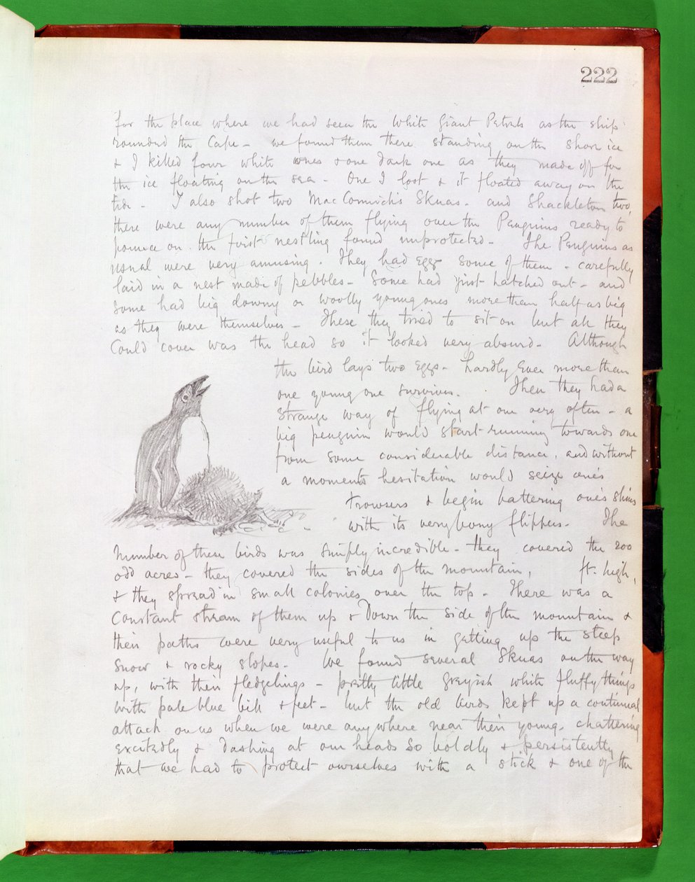 Entrée de journal du 9 janvier 1902 - Edward Adrian Wilson