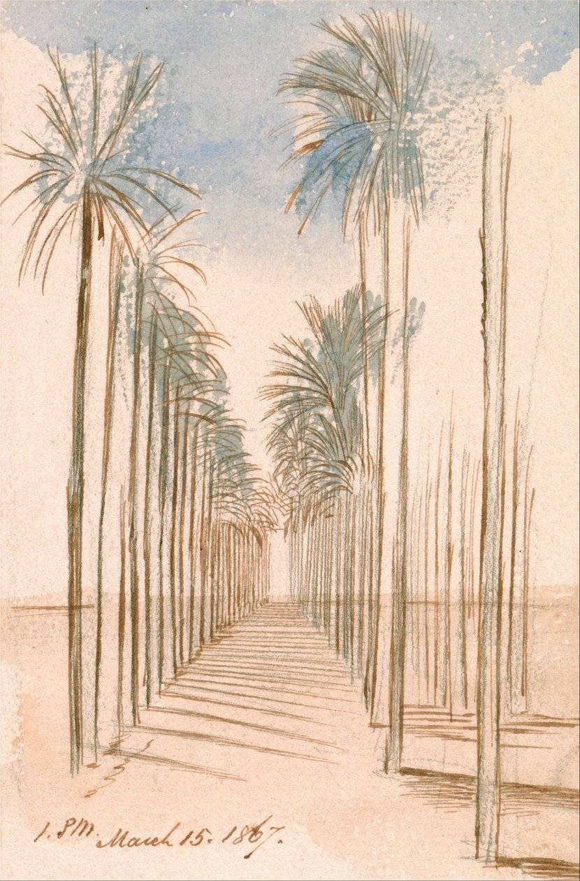 Avenue des arbres - Edward Lear