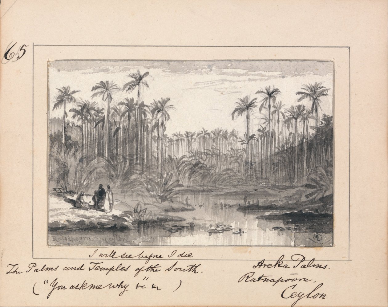 Illustration de Vous me demandez pourquoi de Tennyson - Palmiers Areka, Ratanapooru, Ceylan - Edward Lear