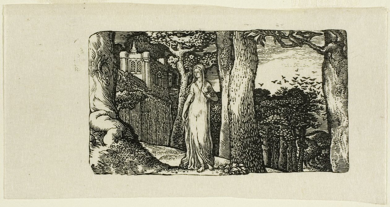 La dame et les corbeaux - Edward Calvert