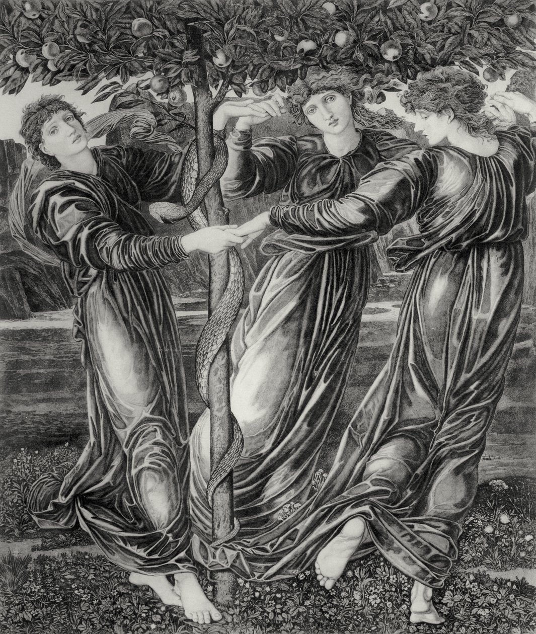 Le Jardin des Hespérides - Edward Coley (after) Burne Jones