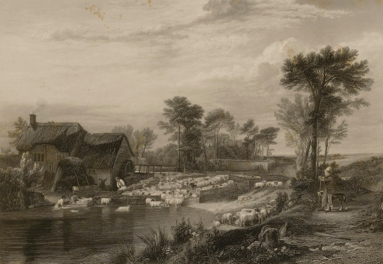 Lavage des moutons - Edward Finden