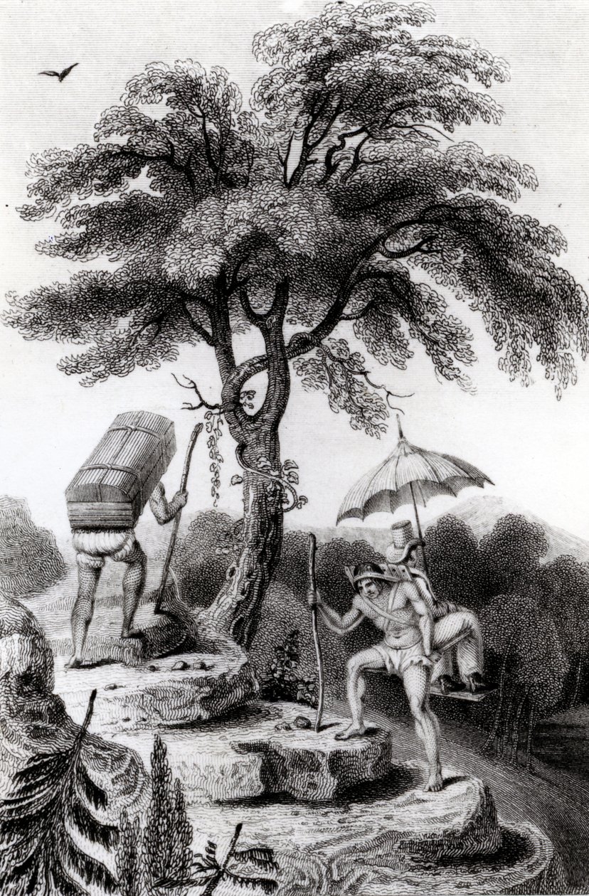 Vue du col de Quindio, illustration de 
