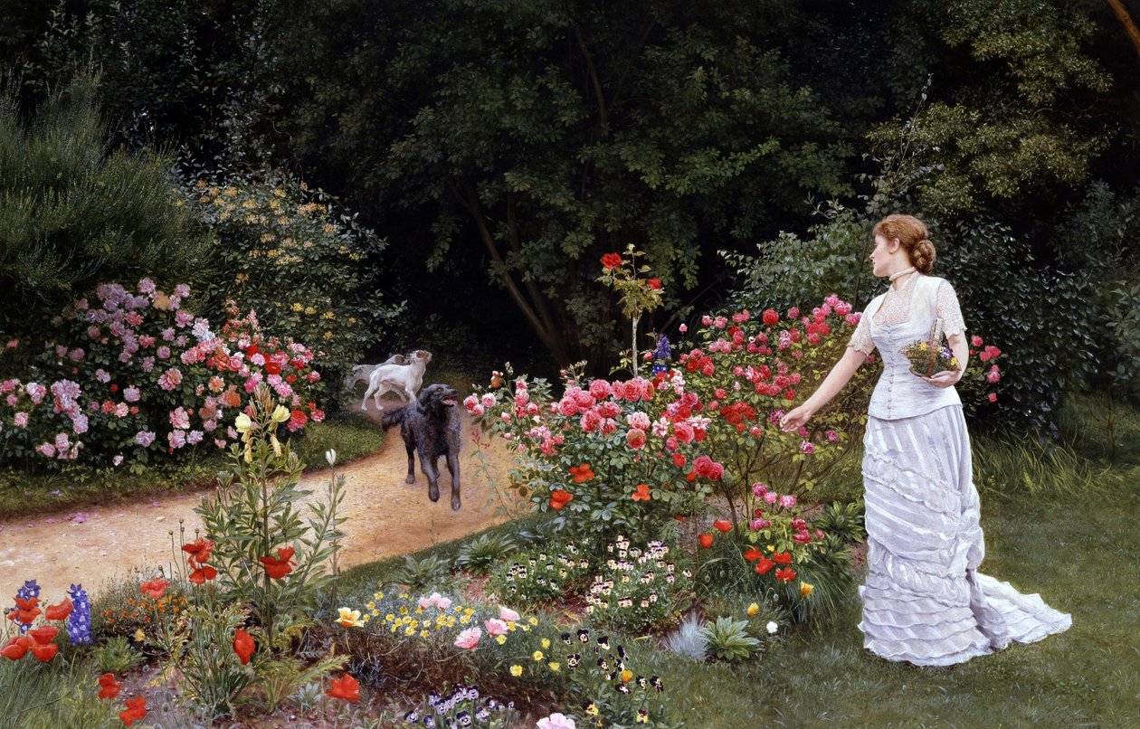 The Arrival 1878. Une femme elegante portant une robe blanche cueille des fleurs (roses) dans un jardin. Pres d