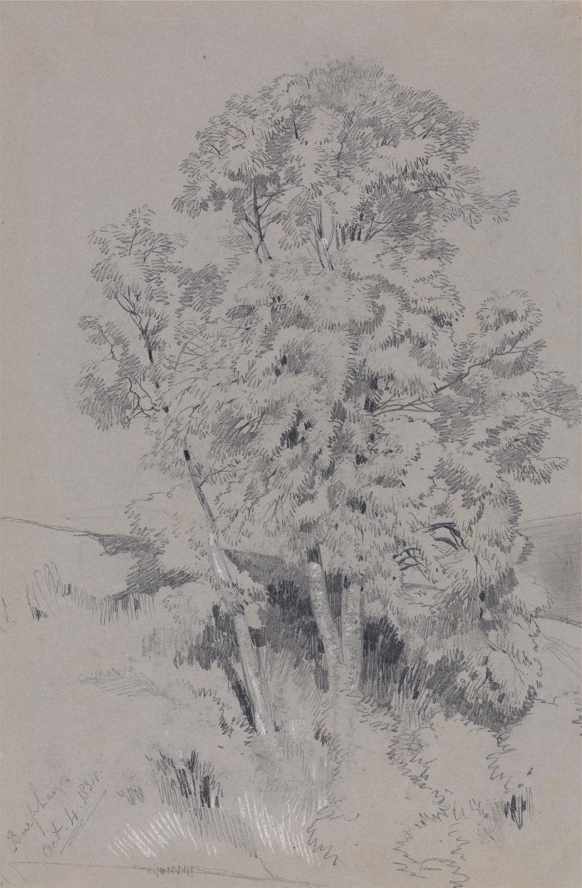 Burpham, le 4 octobre 1834 - Edward Lear