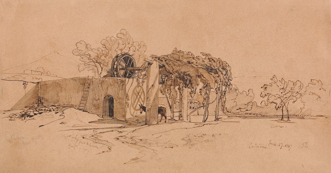 Catane - Edward Lear