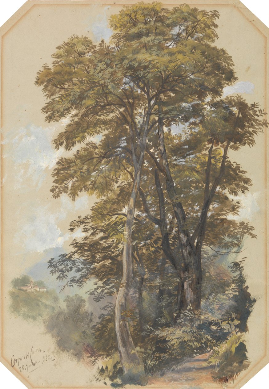Corpo di Cava, le 28 juin 1838 - Edward Lear