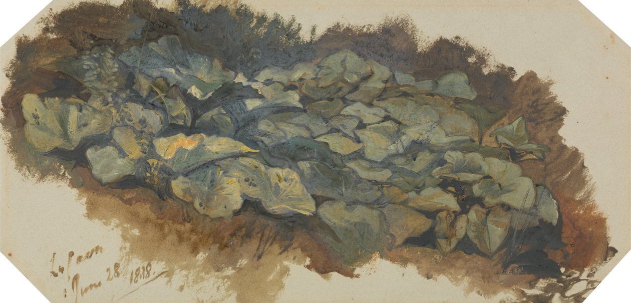 La Cava - Edward Lear