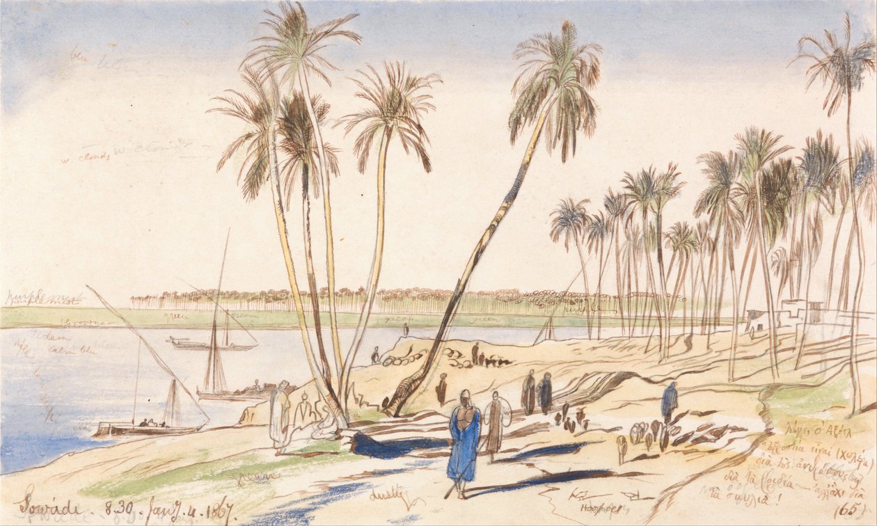 Sowadi, 8h30, 4 janvier 1867 (65) - Edward Lear