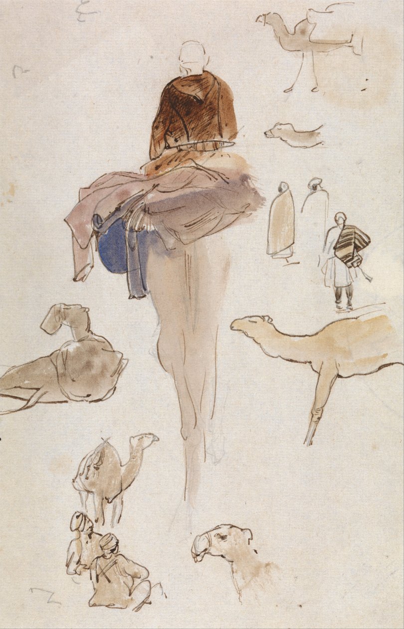 Études sur les chameaux - Edward Lear