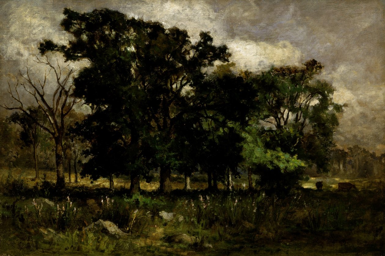 Paysage d