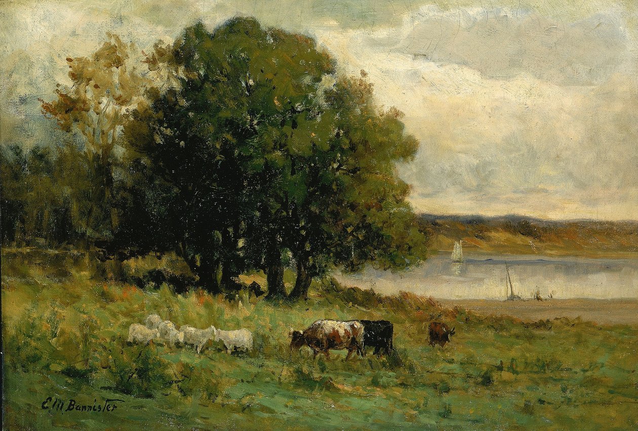 Sans titre (bétail près d