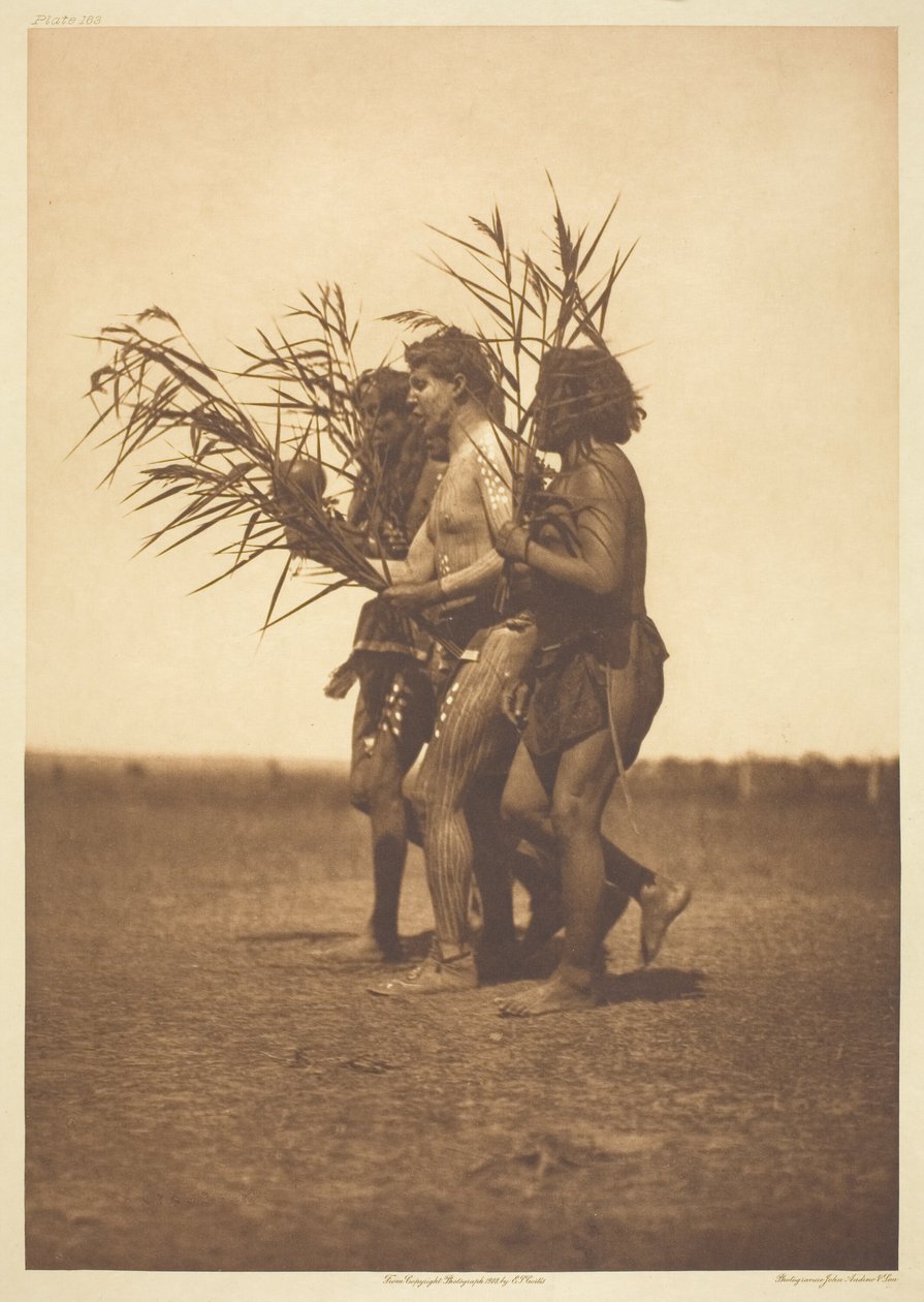 Cérémonie de médecine Arikara - les canards - Edward S. Curtis