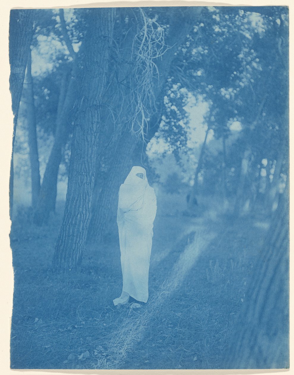 En attendant dans la forêt - Cheyenne - Edward S. Curtis
