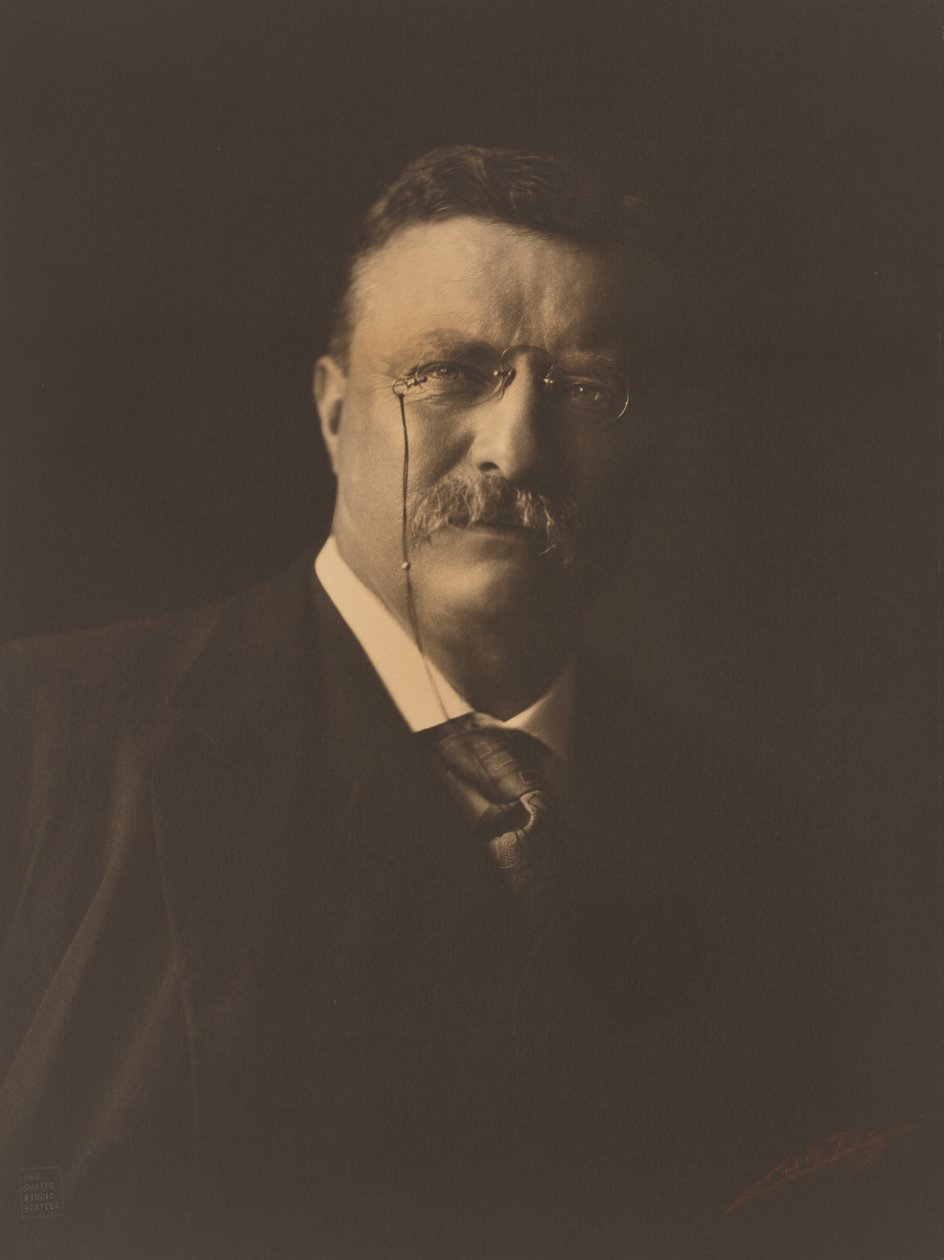 Theodore Roosevelt - Edward Sheriff Curtis