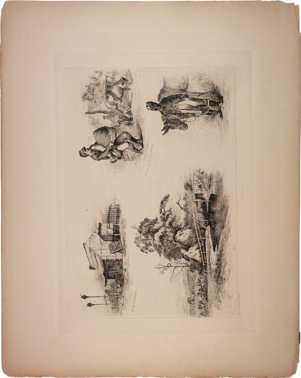 Parti avec les Yankees - Edwin Austin Forbes