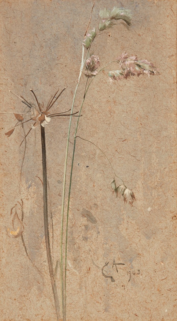 Houlque - Edwin John Alexander