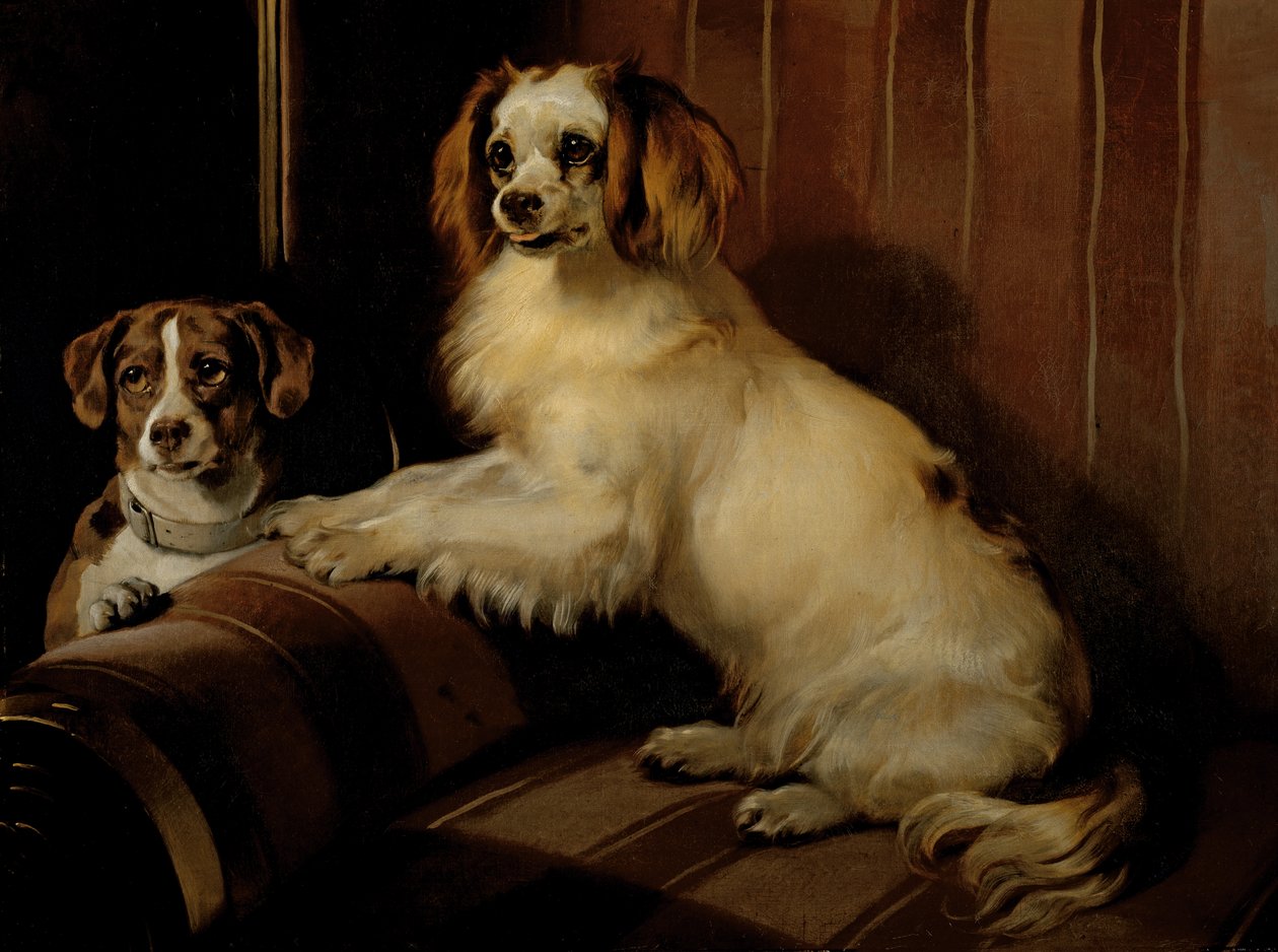 Bon(e)y et Var, c.1843 - Edwin Landseer