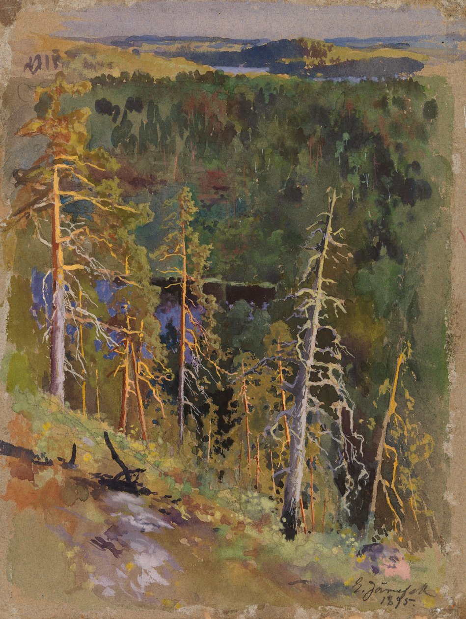 Paysage forestier - Eero Järnefelt