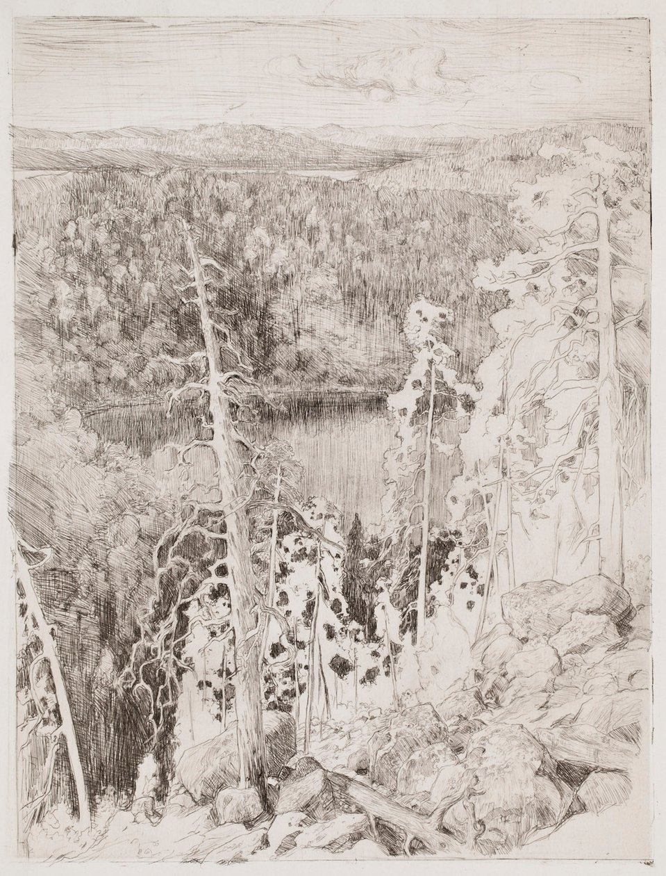 Paysage de Koli ; Paysage forestier de Räsävaara - Eero Järnefelt