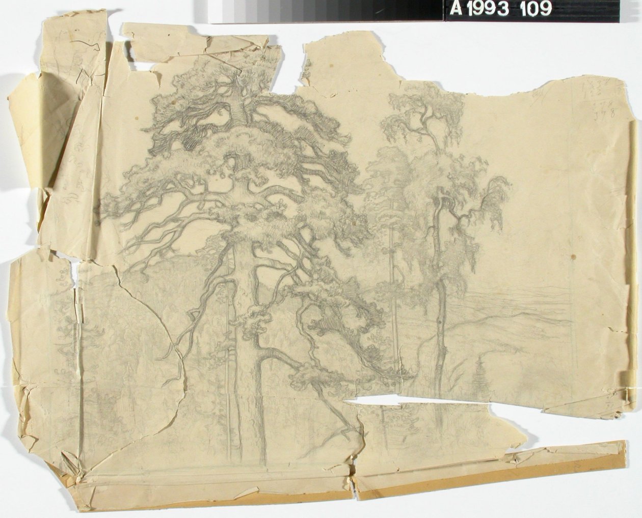 Sans titre - Eero Järnefelt