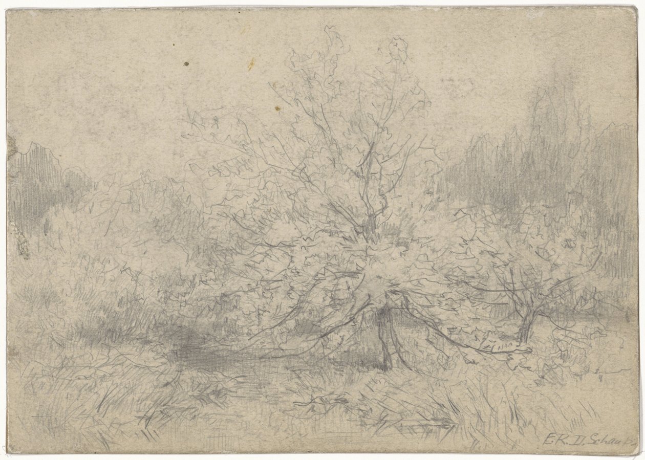 Paysage avec un arbre au centre - Egbert Rubertus Derk Schaap