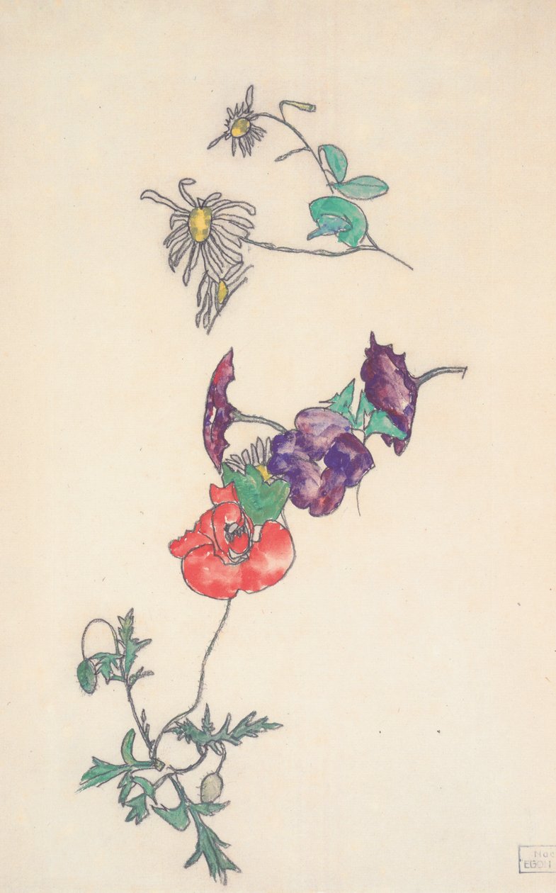 Marguerites, liserons et coquelicots - Egon Schiele